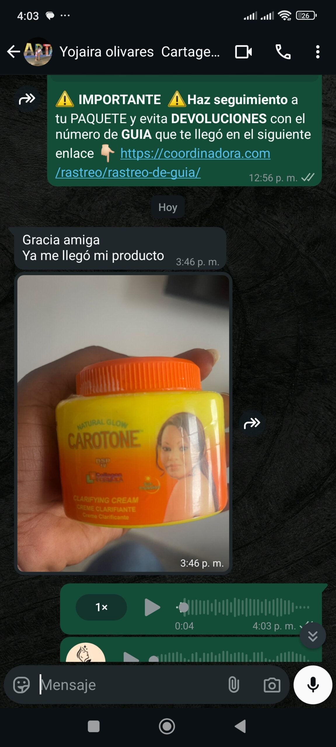 llega pedido 01